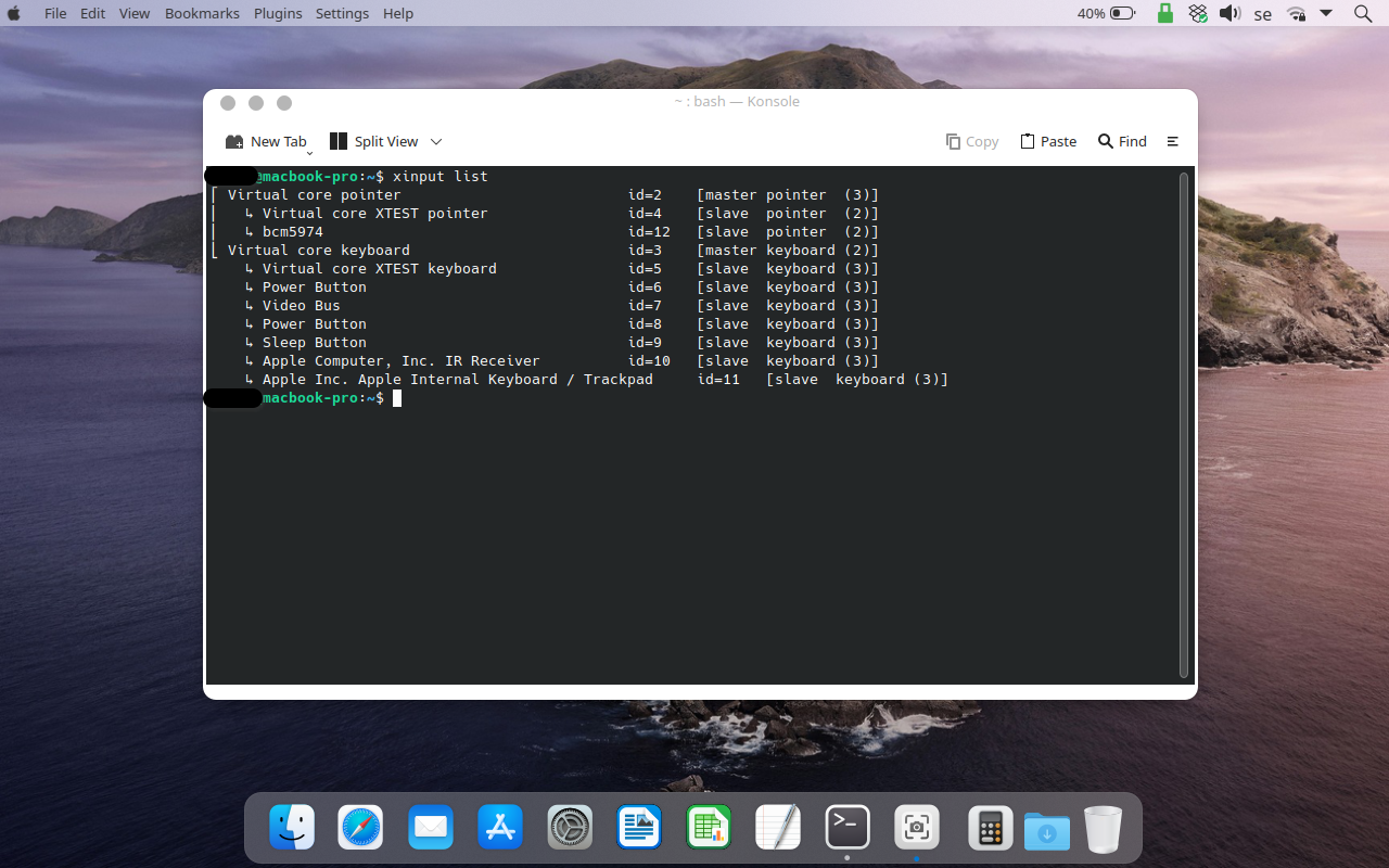 Output of xinput list command in a terminal.